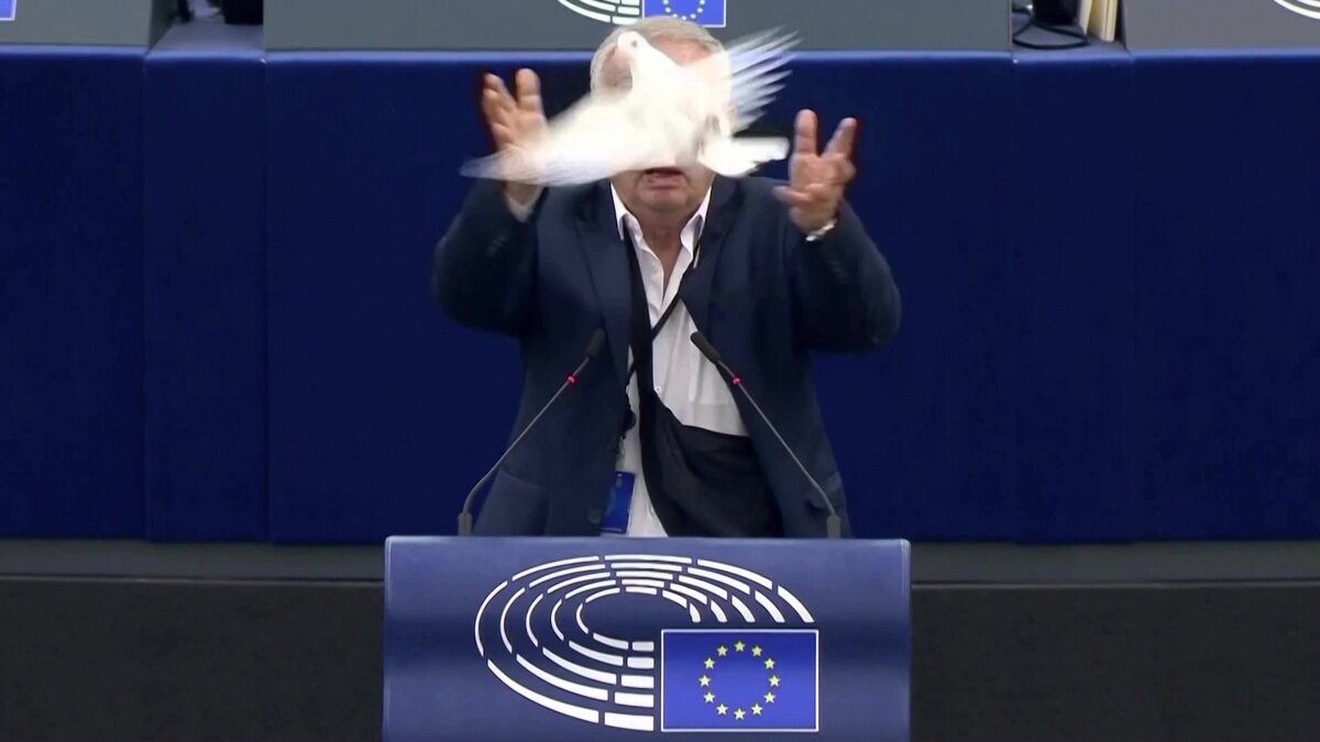 ببینید | حرکت غافلگیرانه و جنجالی نماینده پارلمان اروپا در مجمع علنی